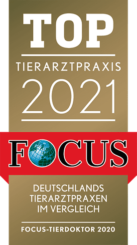 Siegel Tierarzt 2020