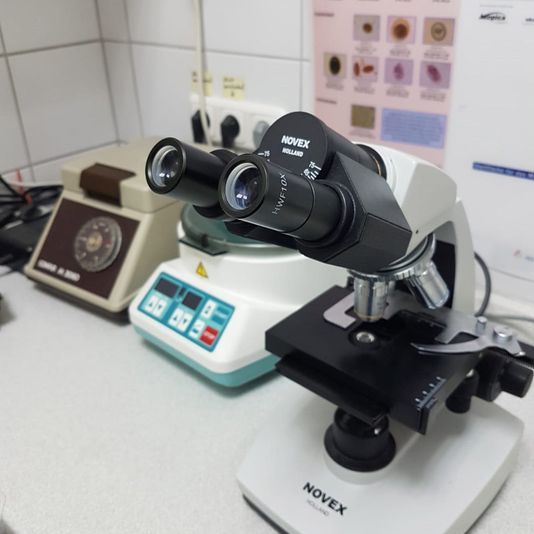 Willkommen bei der Kleintierpraxis Regensburg von Dr. med. vet. Malle ... | Margaretenstraße 16 | 93047 Regensburg | Telefon: 0941.57510 | Telefax 0941.53061 | Gesundes Tier. Glücklicher Mensch.