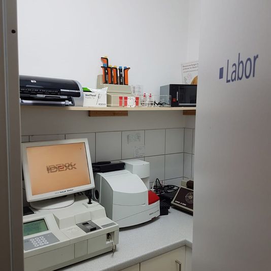 Willkommen bei der Kleintierpraxis Regensburg von Dr. med. vet. Malle ... | Margaretenstraße 16 | 93047 Regensburg | Telefon: 0941.57510 | Telefax 0941.53061 | Gesundes Tier. Glücklicher Mensch.