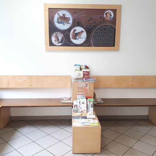 Willkommen bei der Kleintierpraxis Regensburg von Dr. med. vet. Malle ... | Margaretenstraße 16 | 93047 Regensburg | Telefon: 0941.57510 | Telefax 0941.53061 | Gesundes Tier. Glücklicher Mensch.