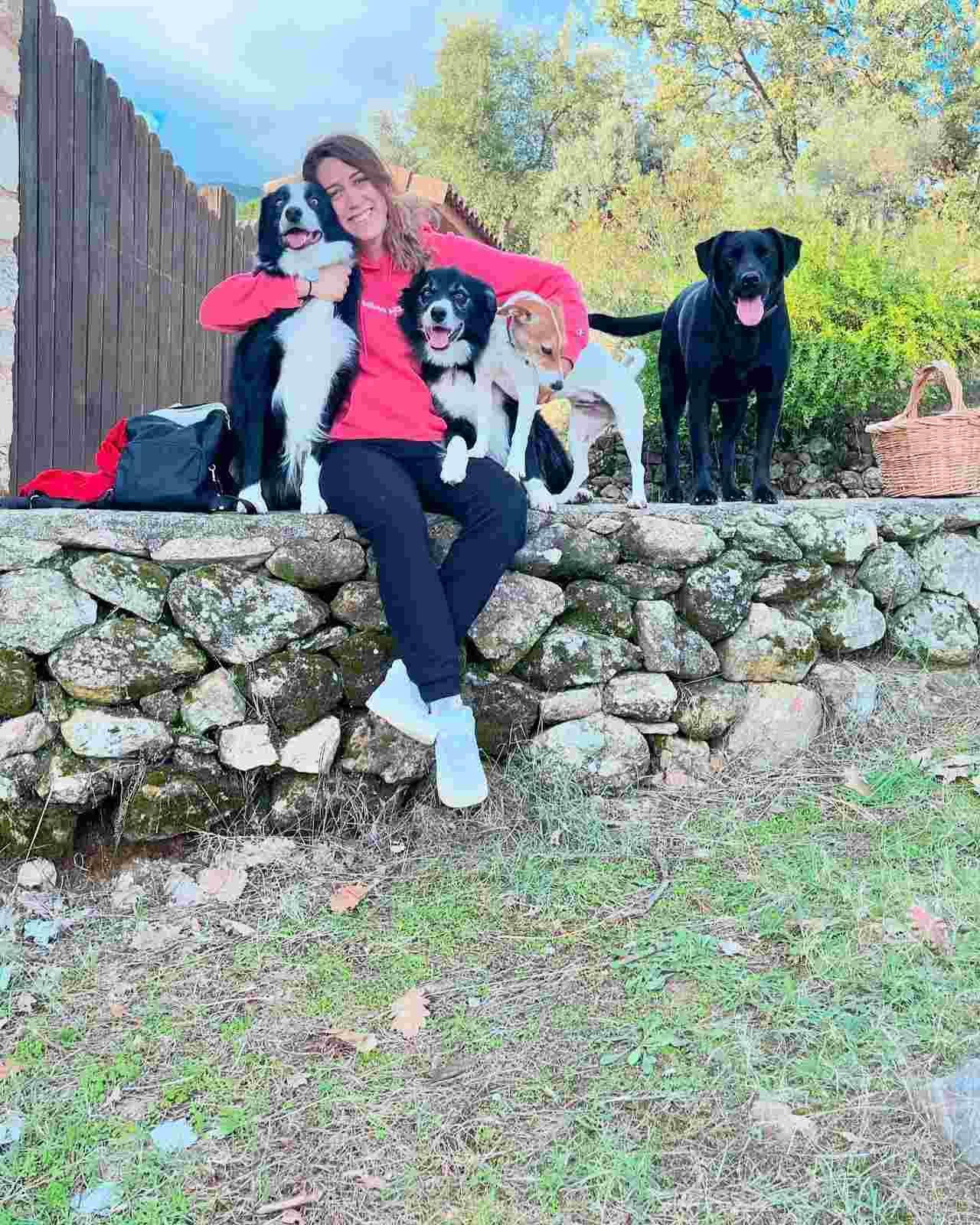 Una persona sentada en un muro de piedra con tres perros al aire libre en un patio soleado.