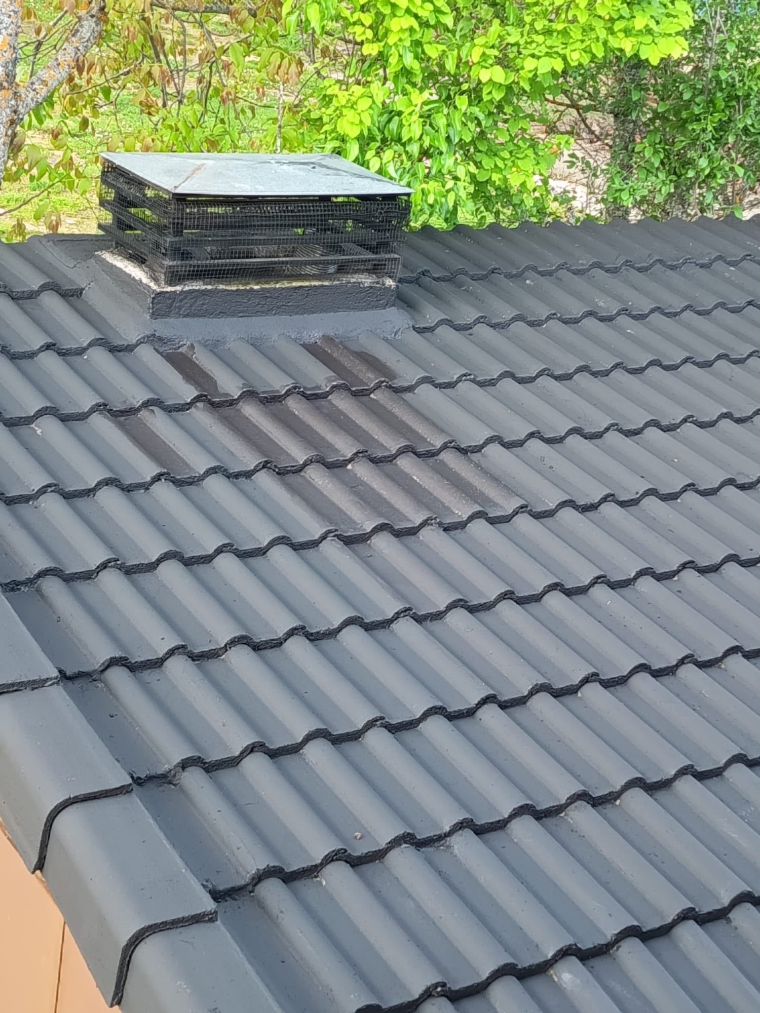 Techo de tejas gris oscuro con una ventilación en el techo bajo árboles verdes.