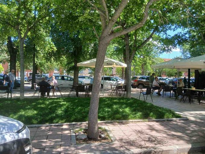 Terraza sombreada al aire libre de una cafetería, con mesas, sillas y gente bajo los árboles junto a un sendero.