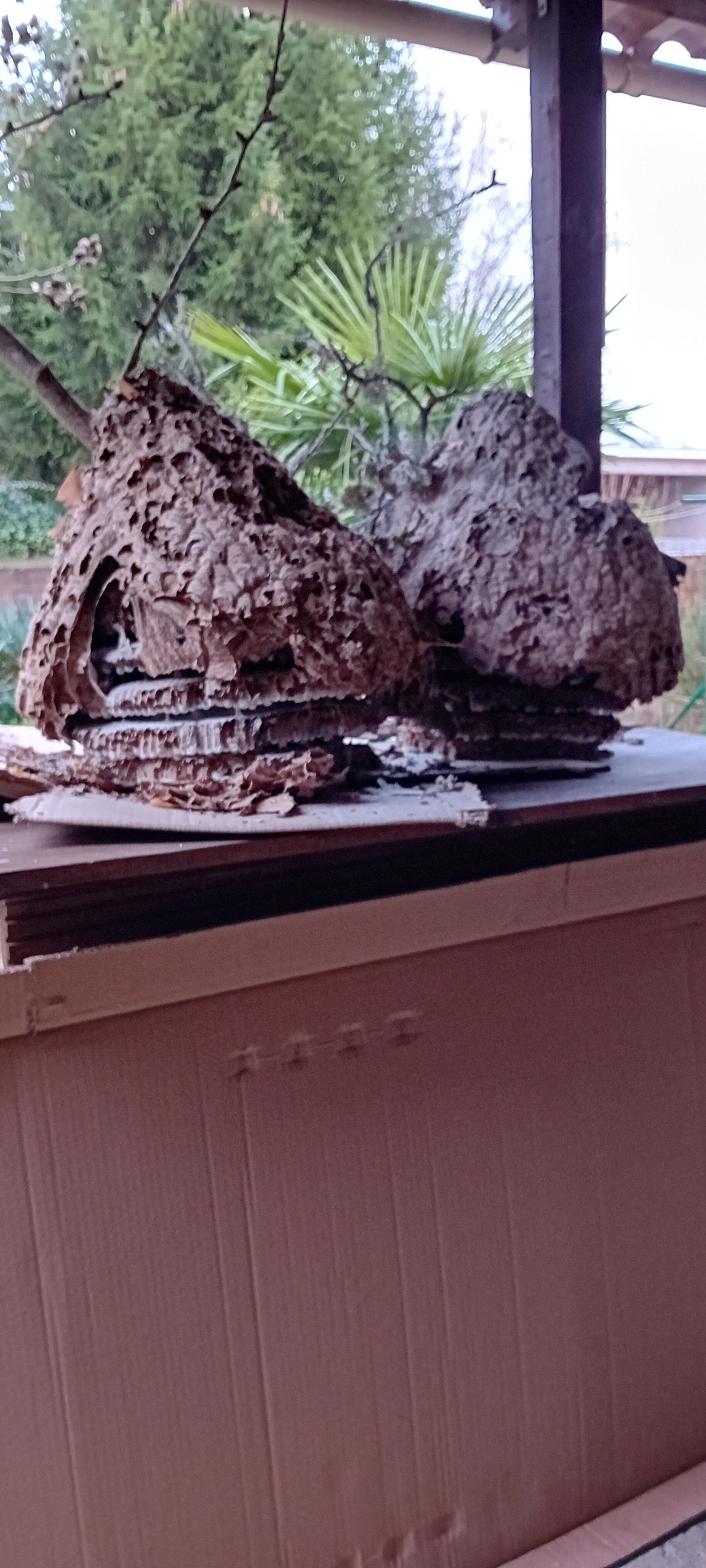 Une formation rocheuse brune, texturée et patinée par le temps, posée sur une surface en bois, à l'extérieur, près de la verdure.