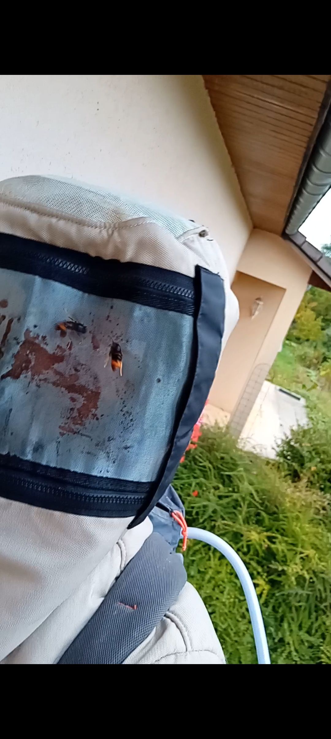 Une personne portant une combinaison d'apiculteur, la grille de protection présentant des éclaboussures de sang. Un tuyau est visible.