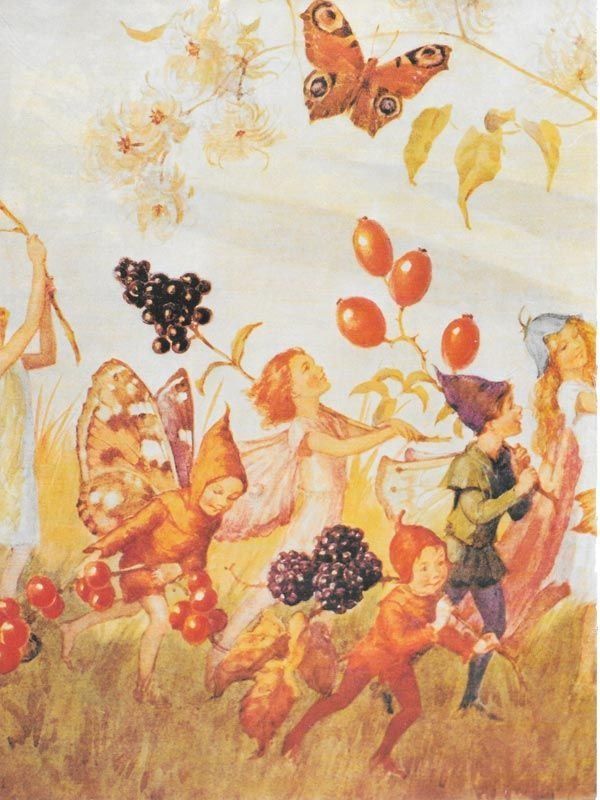 Las hadas retozan en un campo soleado, buscando bayas y una mariposa.