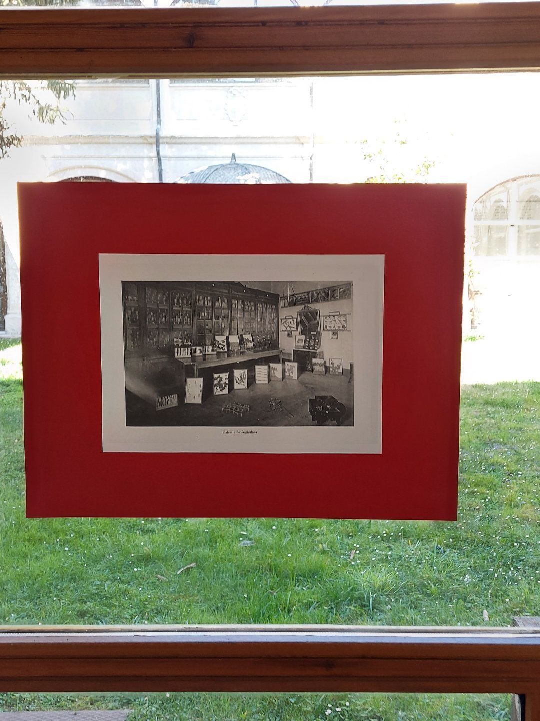 Fotografía enmarcada en blanco y negro sobre papel rojo en una ventana; césped verde y edificio visibles afuera.