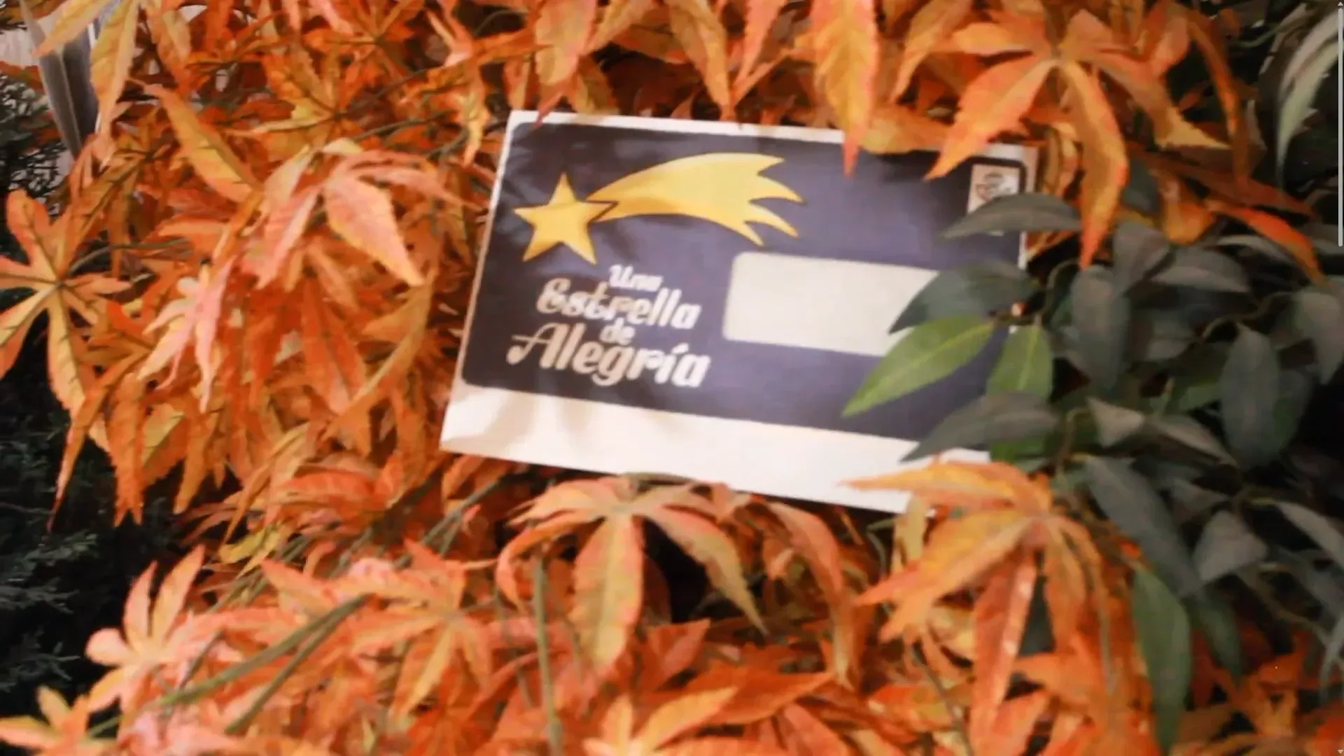 Cartel con una estrella fugaz, “Mi Estrella de Alegría”, rodeada de hojas naranjas y verdes.