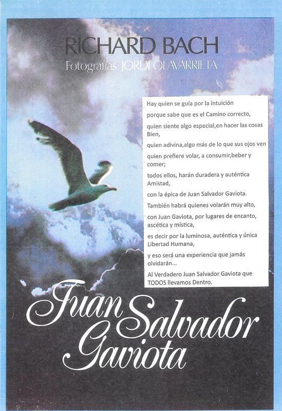 Portada del libro: Una gaviota volando, título 