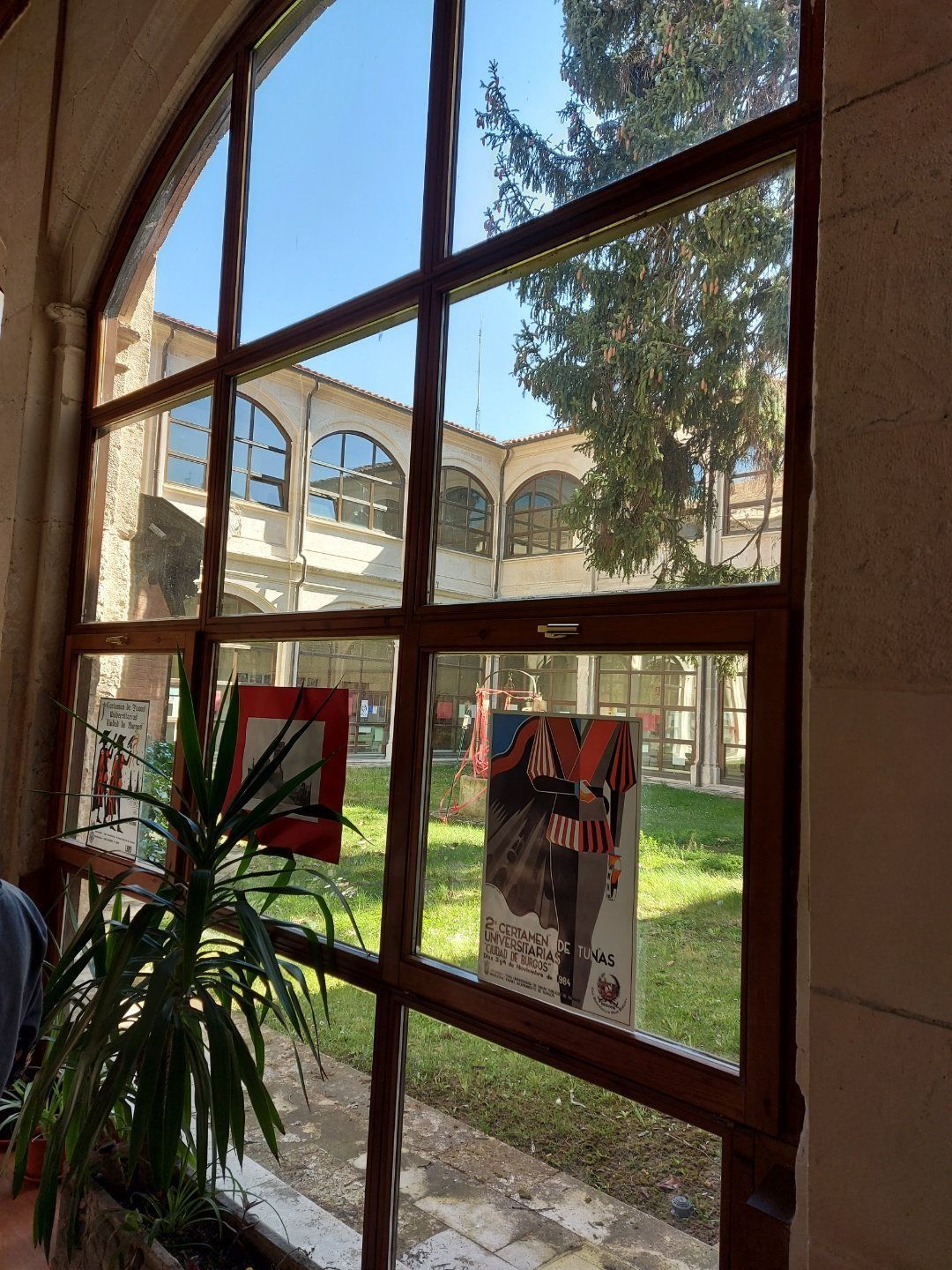 Vista a través de una ventana: patio con edificios arqueados, césped verde, carteles y una planta al frente.