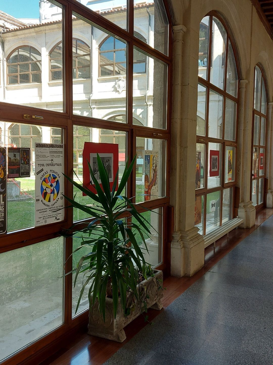 Pasillo con grandes ventanales que muestran arte y un patio; planta en una jardinera de piedra.