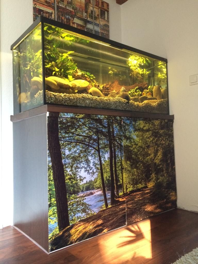 Flächenvorhang für das Aquarium