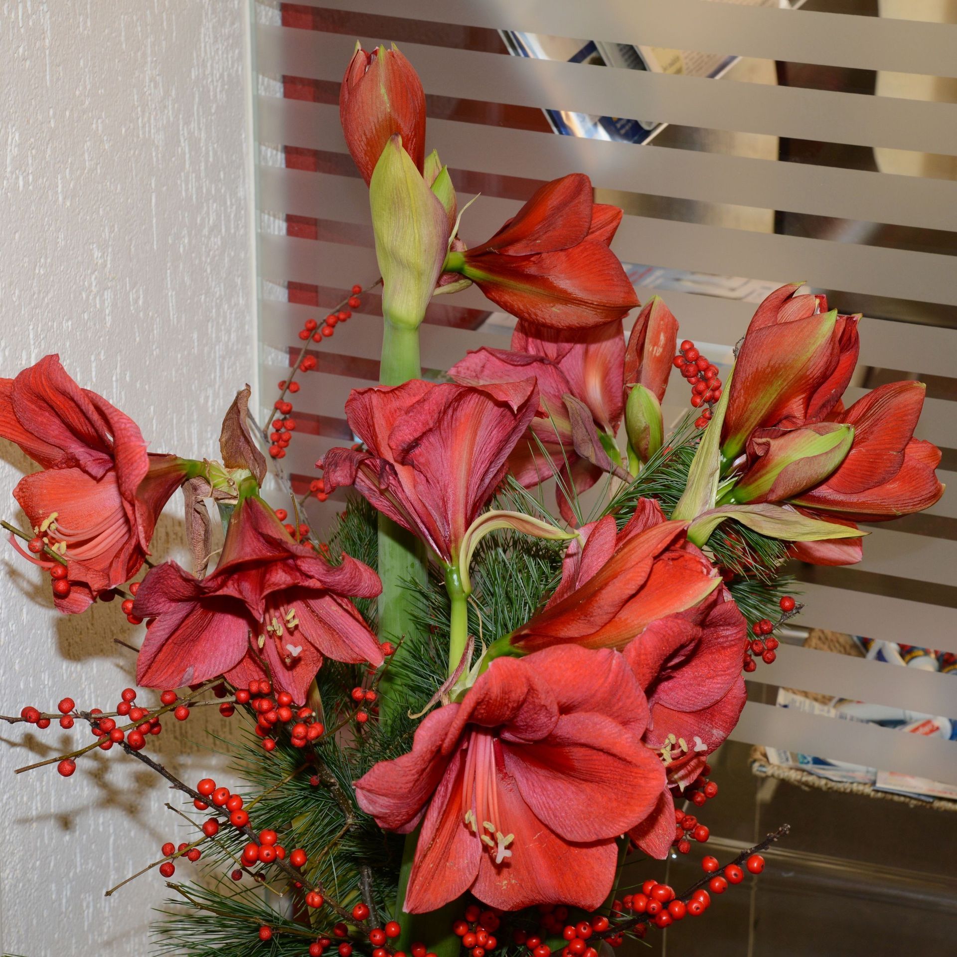 Blume - Praxis Schindellegi Zahnärztinnen