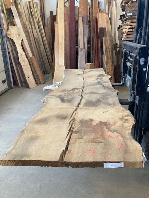 TAMMILANKKU 50 mm 100 cm