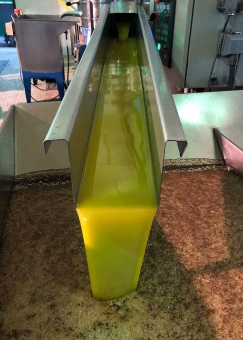 Se vierte un líquido amarillo en un recipiente.