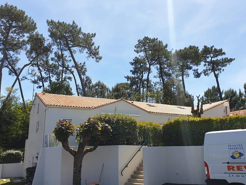 Toiture nettoyage après