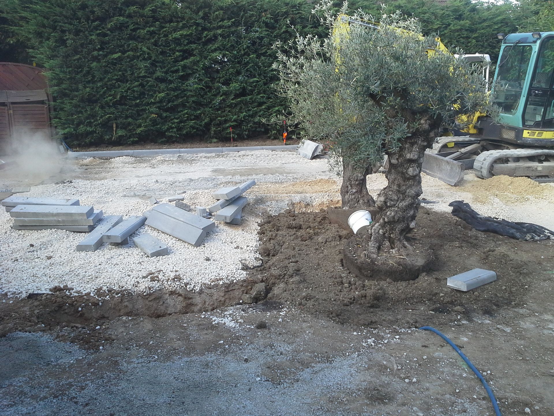 Chantier de construction avec olivier, gravier, pavés et petite excavatrice ; des arbres et un bâtiment sont en arrière-plan.