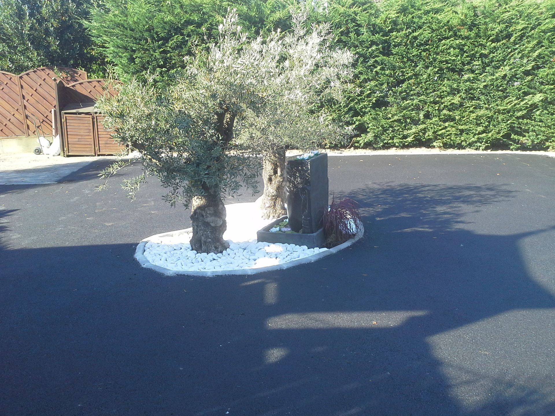 Deux arbres avec une base en pierre blanche sur une surface pavée. Asphalte foncé et feuillage vert en arrière-plan.