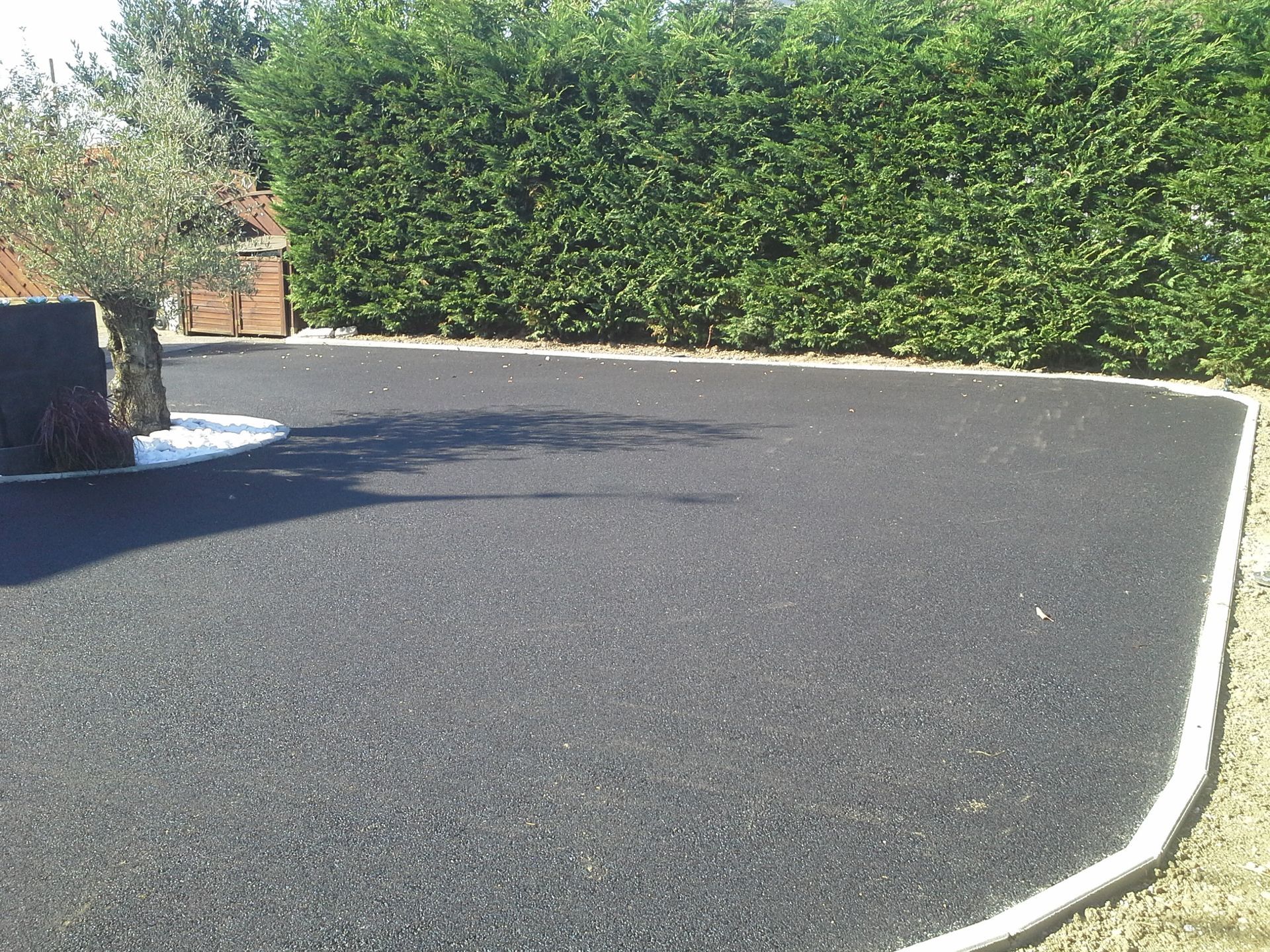 Allée en asphalte noir avec bordure blanche, haie verte en arrière-plan et petit arbre.