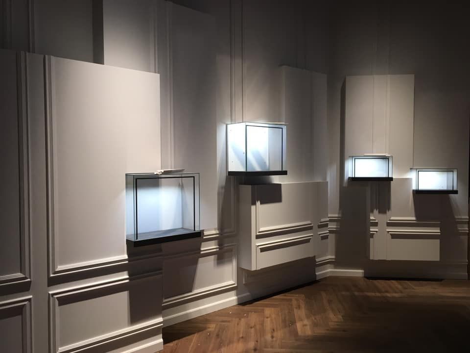 Ein Raum mit Holzboden, weißen Wänden und Vitrinen, die von der Decke hängen.