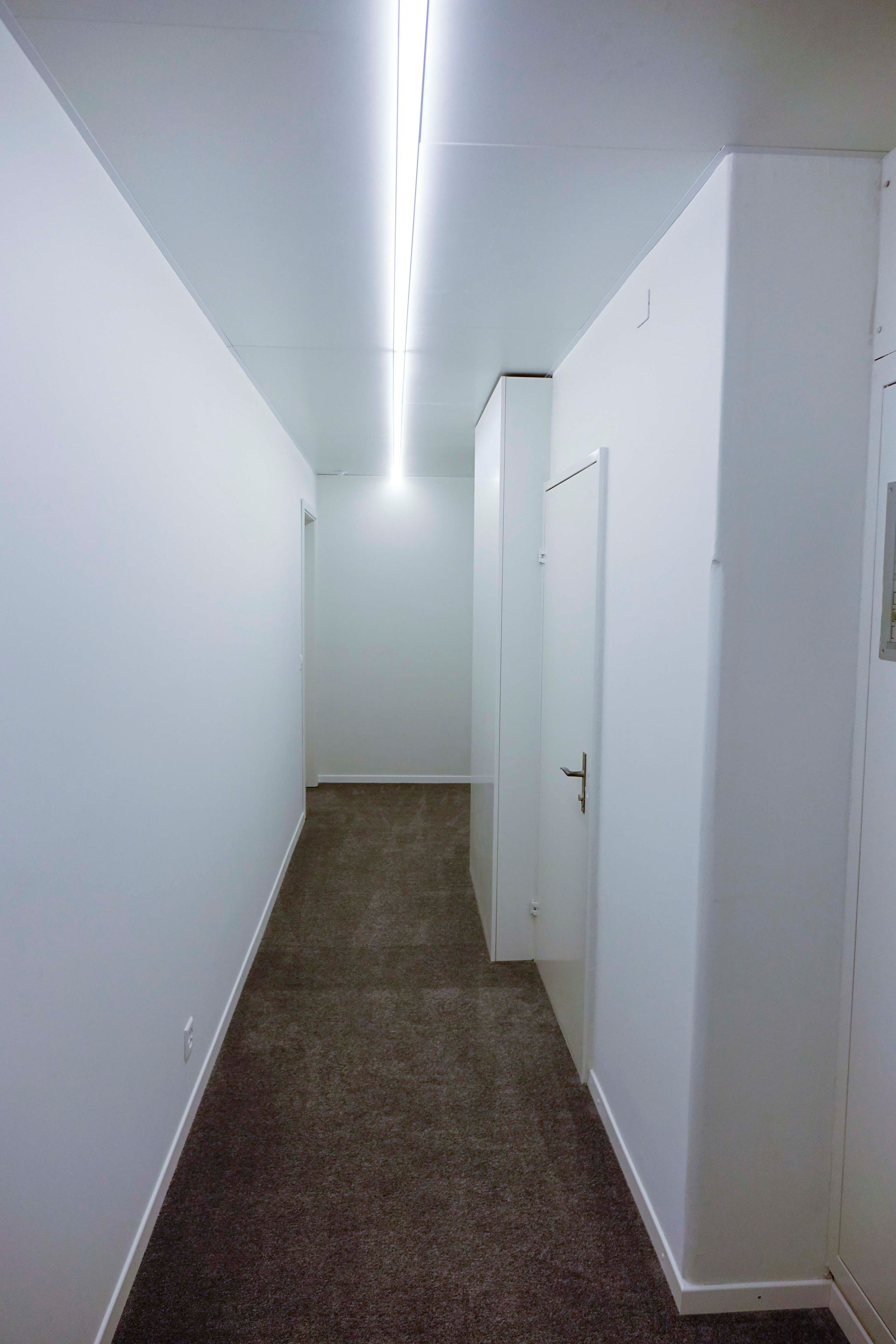 Ein langer Flur mit weißen Wänden und braunem Teppich.