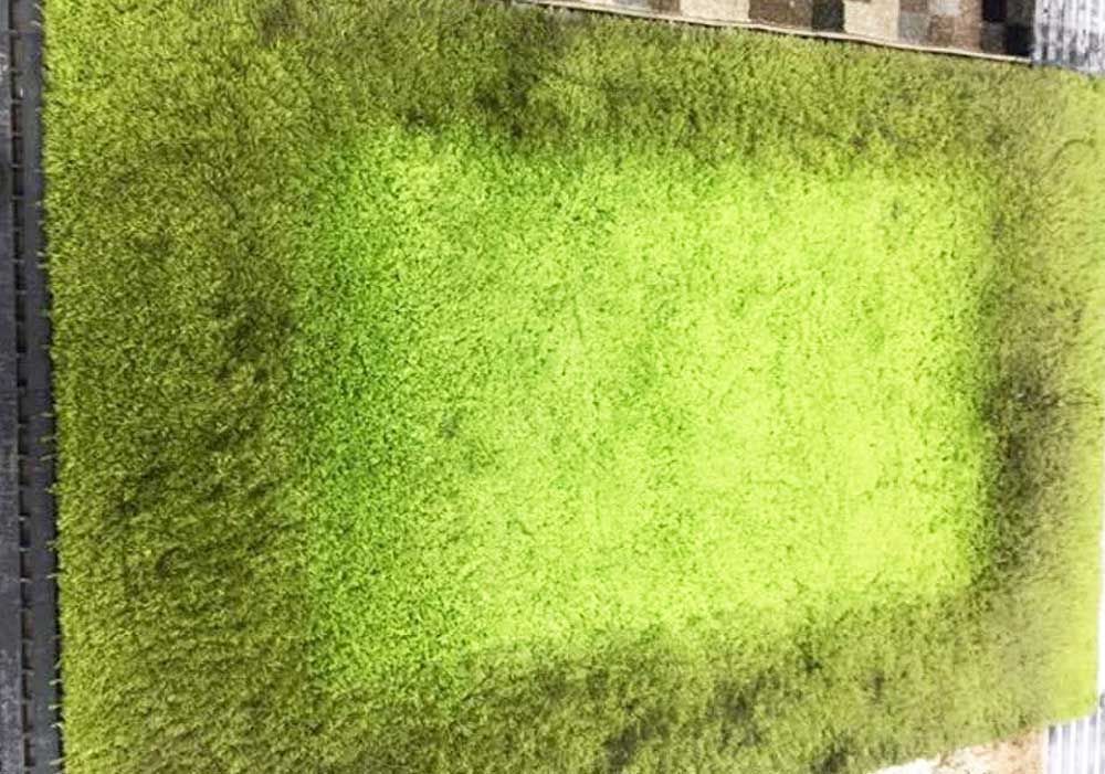 0911 Teppichreinigung, Teppichreinigung, starke Verschmutzungen