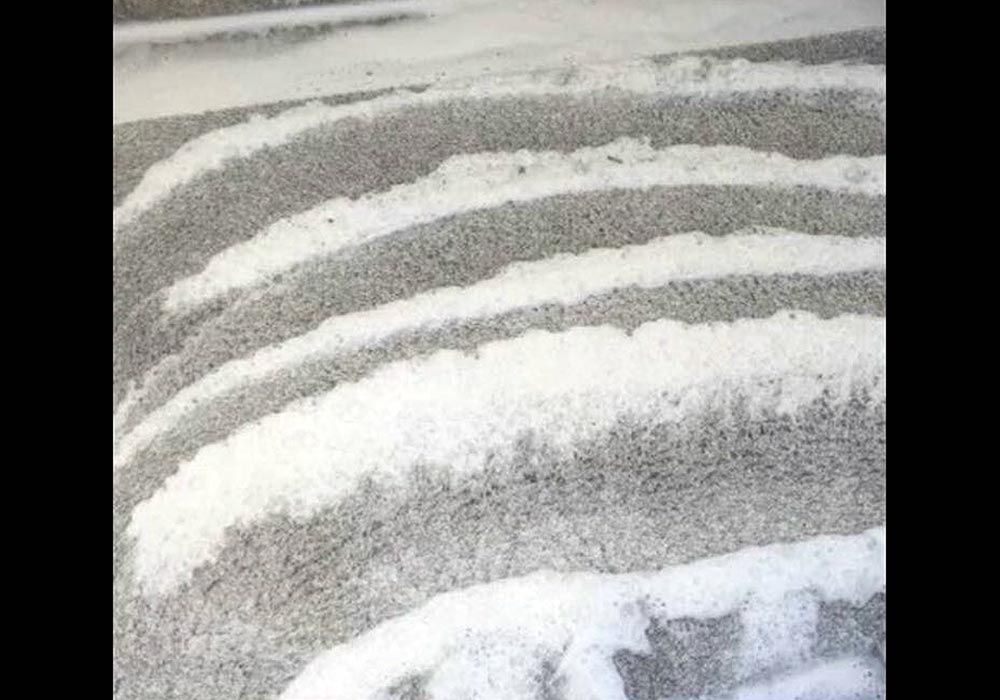 0911 Teppichreinigung, Teppichreinigung mit Reinigungsmaschine