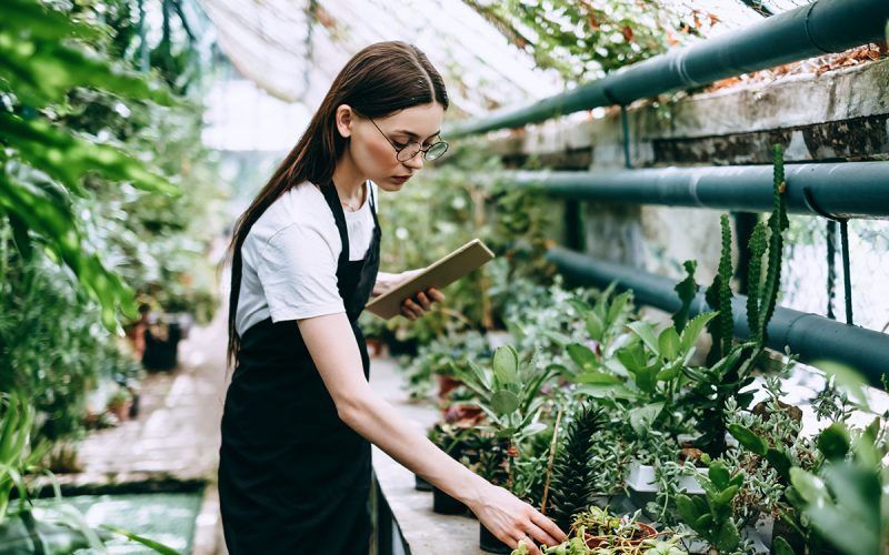 Une femme regarde des plantes dans une serre tout en utilisant une tablette.