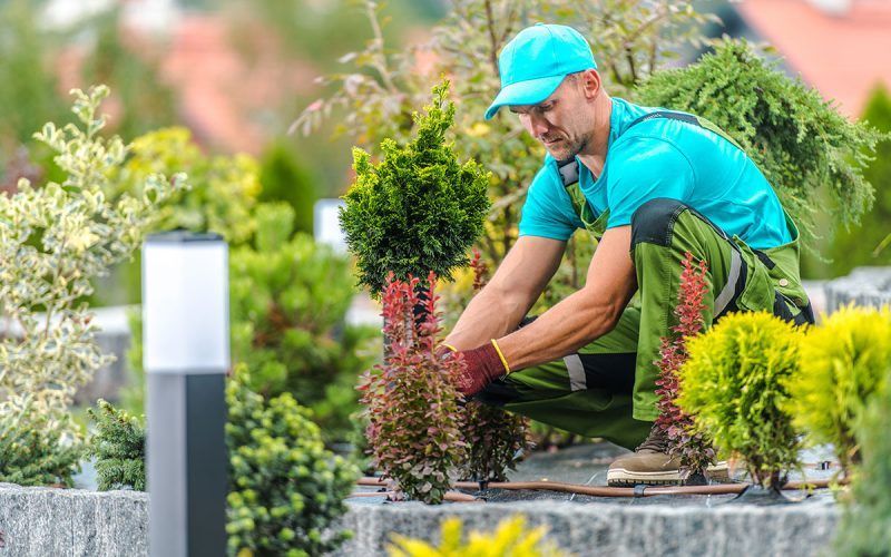 Un homme est agenouillé dans un jardin et plante des plantes.