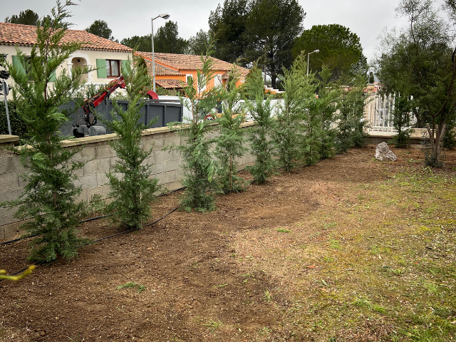 Une rangée d'arbres dans une cour à côté d'un mur de briques.