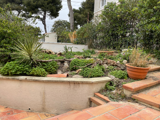 Un jardin avec des plantes en pot et des escaliers devant une maison.