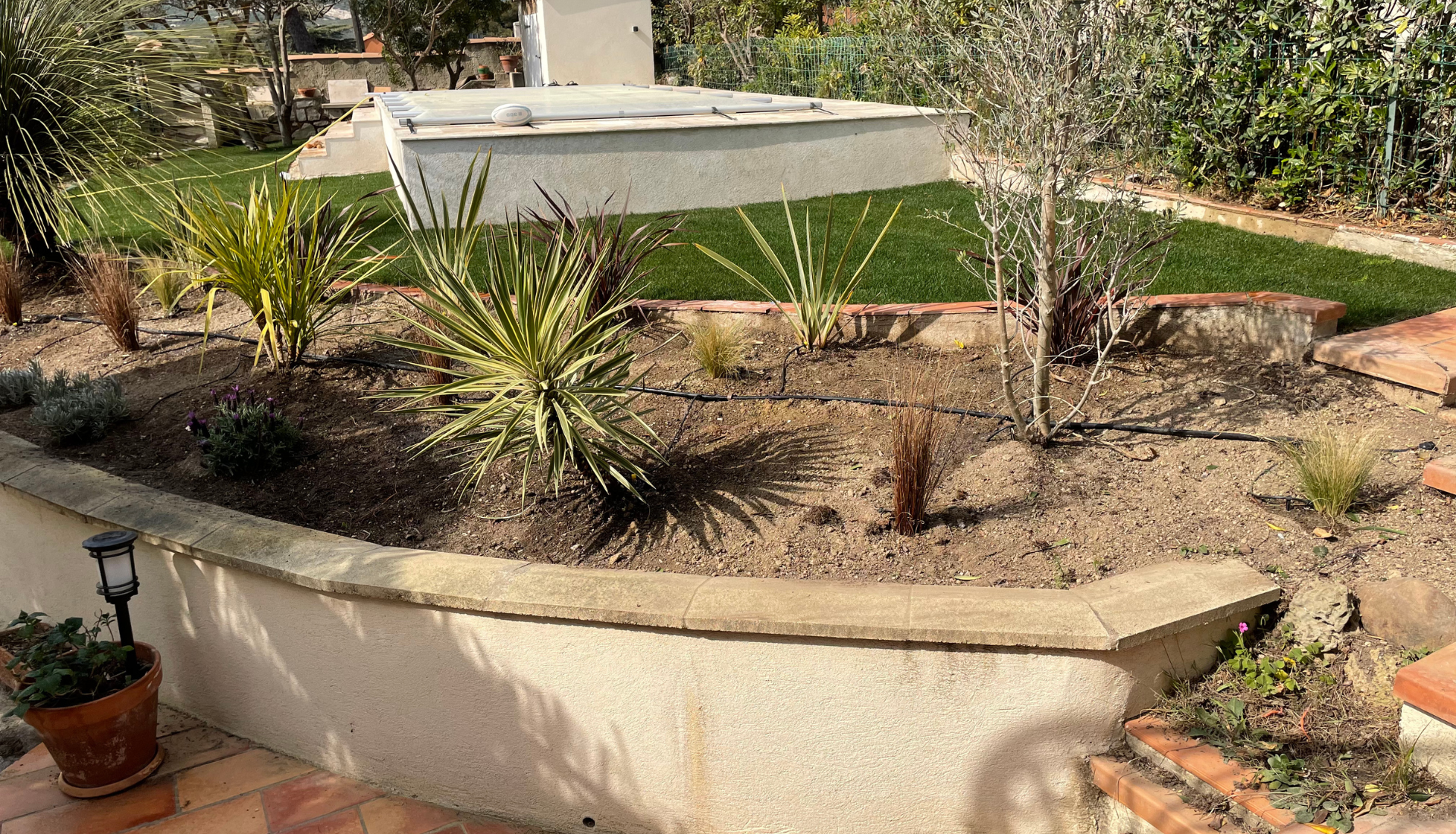 Un jardin avec beaucoup de plantes et une piscine en arrière-plan.