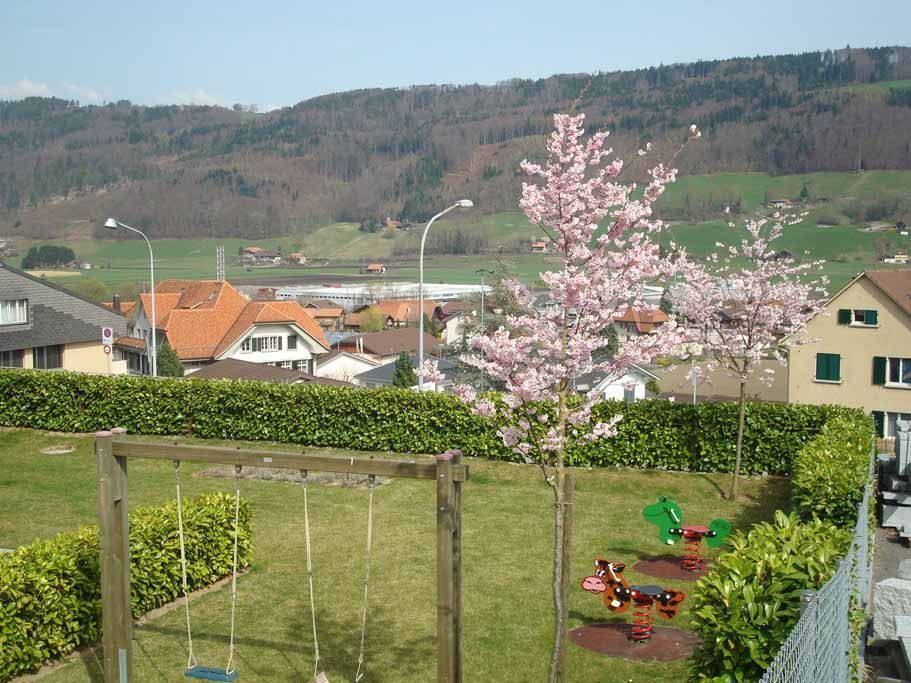 Gartenrenovation - Schrepfer Gartenbau AG Büro in Toffen