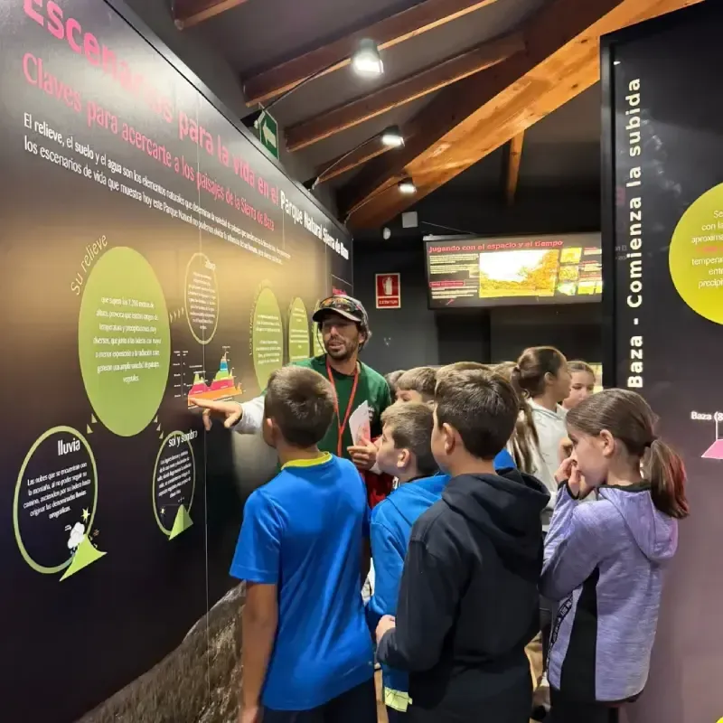 Un guía turístico explica un diagrama a un grupo de niños en un museo. Los niños escuchan atentamente.