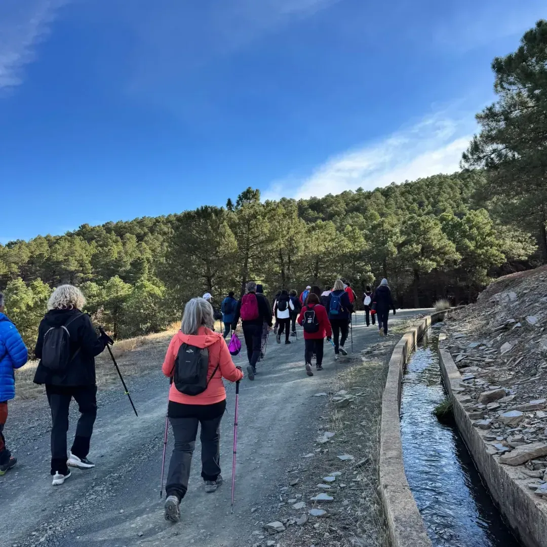 Caminatas en grupo por un camino de tierra, al lado de un canal de agua, con árboles y un cielo azul en lo alto.