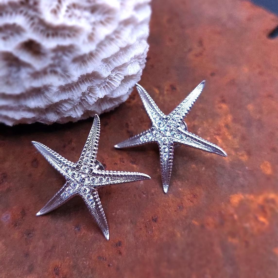 Zwei silberne Seestern-Ohrringe auf einer strukturierten, rostbraunen Oberfläche, im Hintergrund ein korallenartiges Objekt.