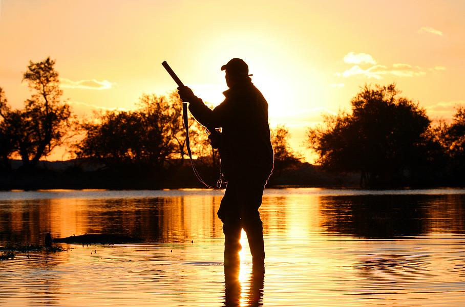 Articles pour chasseur à VIllemaur-sur-Vanne