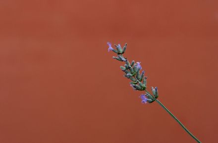 InTEM – Naturheilpraxis