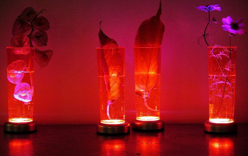 hübsch&frech Dekorationsservice