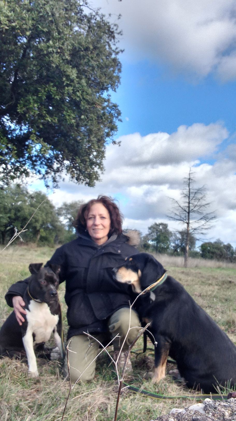 Une personne assise à l'extérieur avec deux chiens noirs et blancs dans un champ herbeux sous un ciel bleu nuageux.