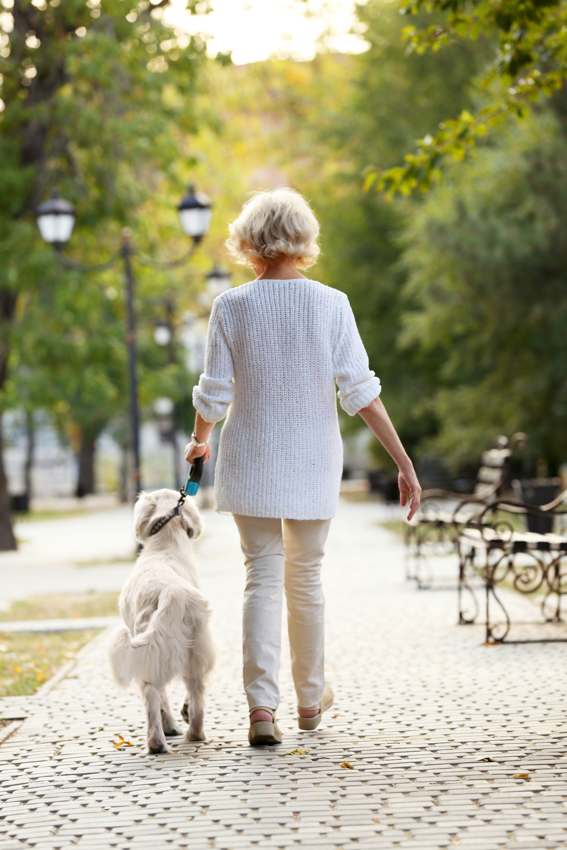 Une femme promène son chien le long d'un chemin bordé d'arbres dans un parc au coucher du soleil.