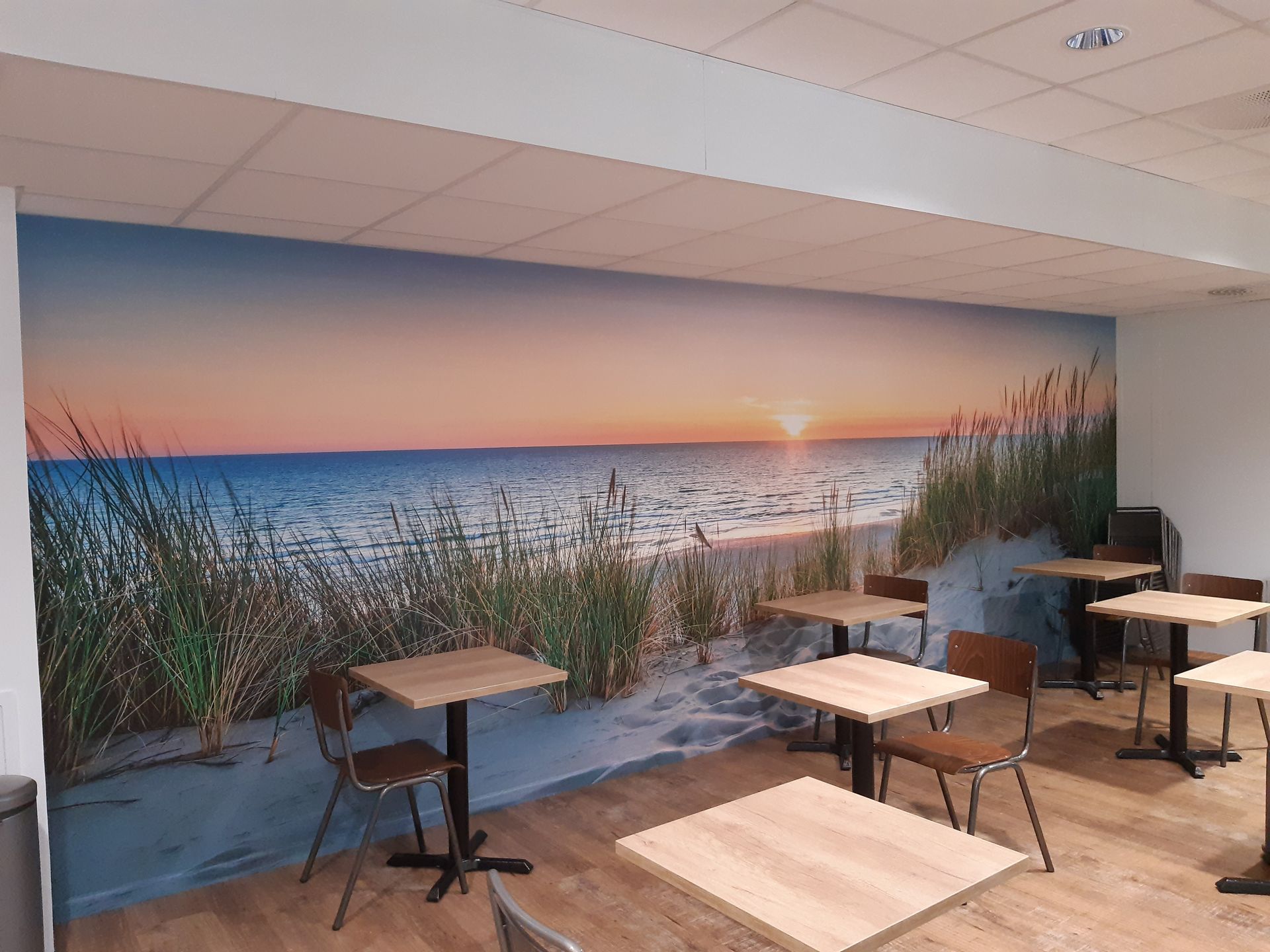 Papier peint représentant une place avec le soleil couchant et des plantes