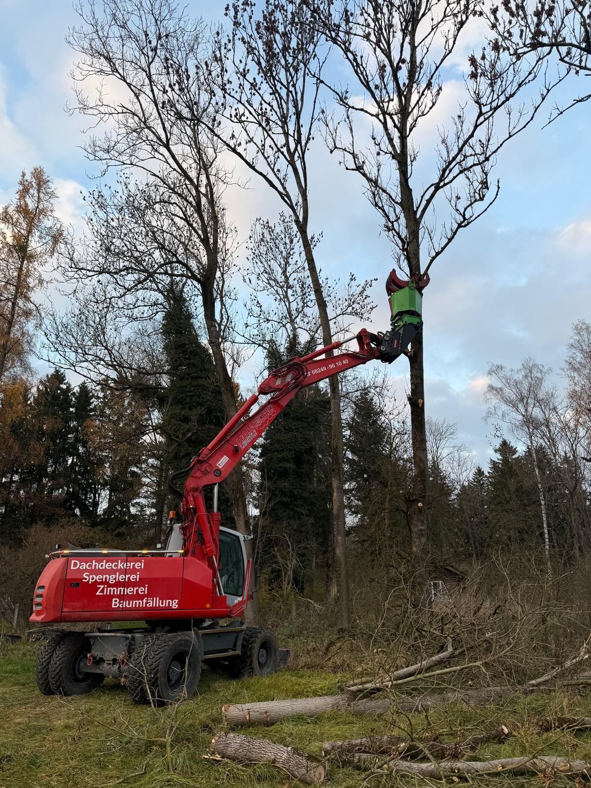 Ein roter Bagger mit grünem Baumscherenaufsatz fällt einen Baum auf einer Waldlichtung.