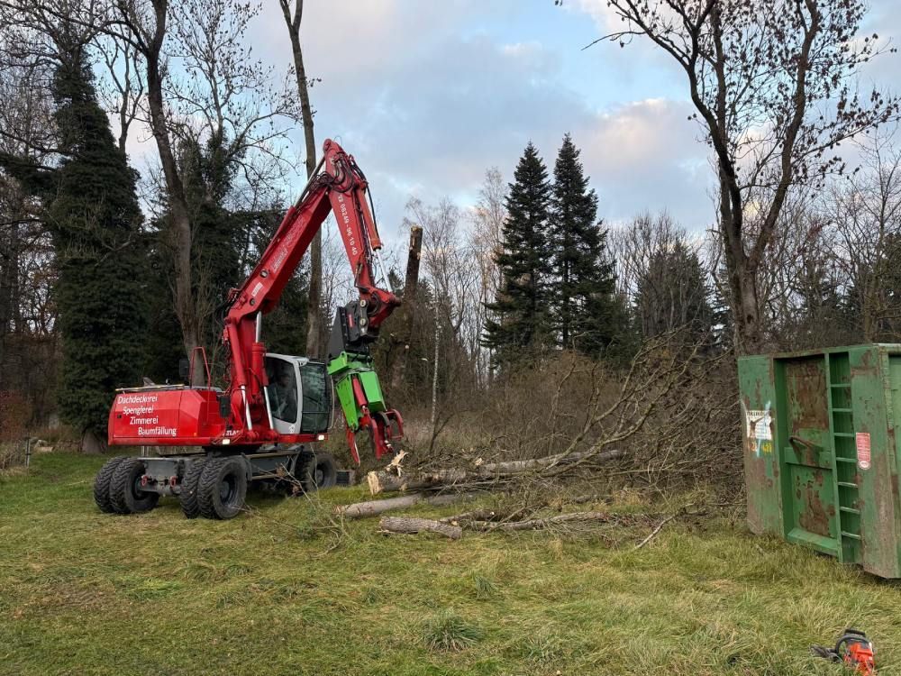 Ein roter Bagger mit einem grünen Baumverarbeitungsaufsatz hält einen gefällten Baumstamm in einem grasbewachsenen Waldgebiet neben einem grünen Container.