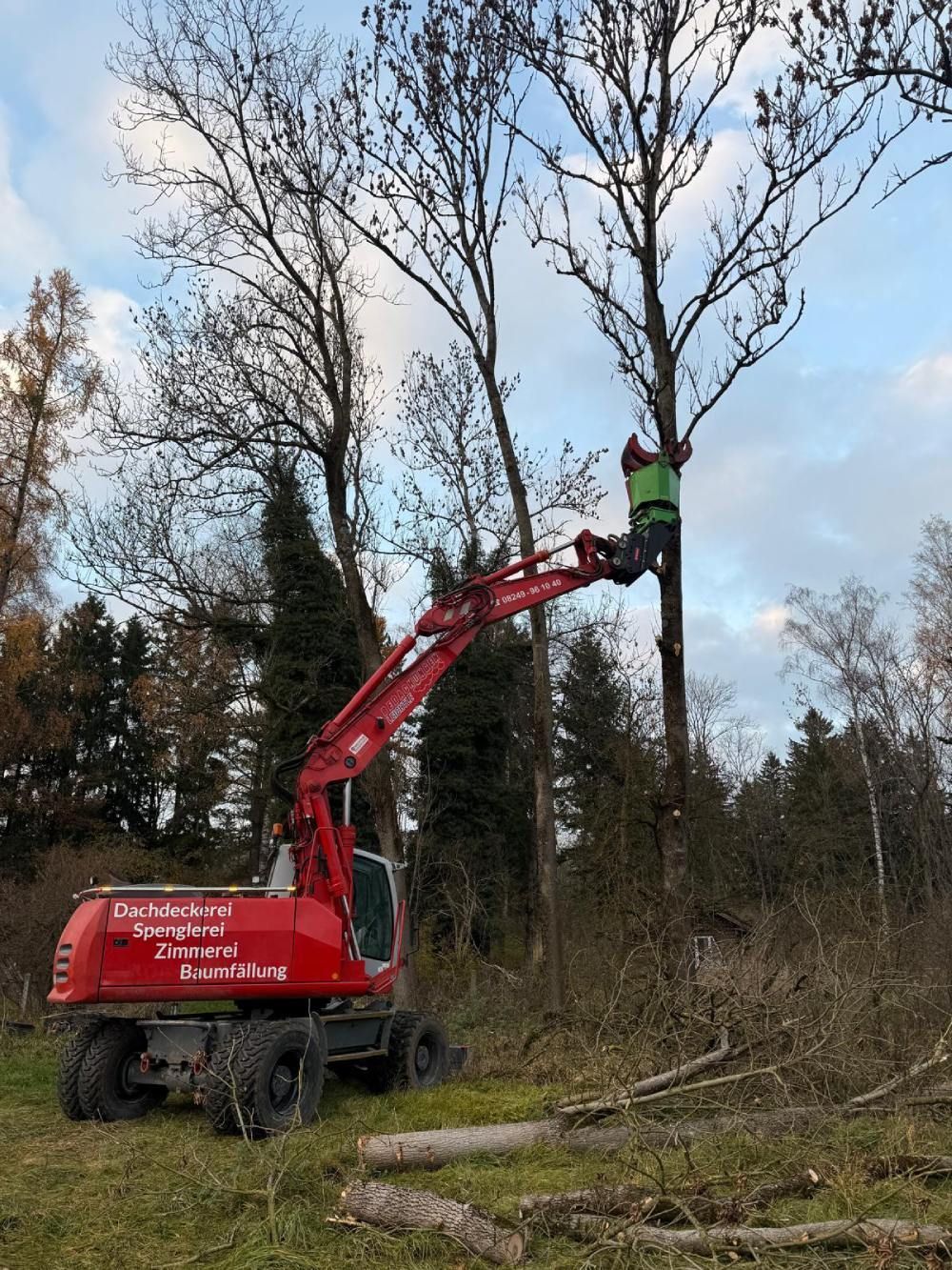 Ein roter Bagger mit grünem Forstgreifer fällt einen Baum in einem ländlichen, bewaldeten Gebiet.