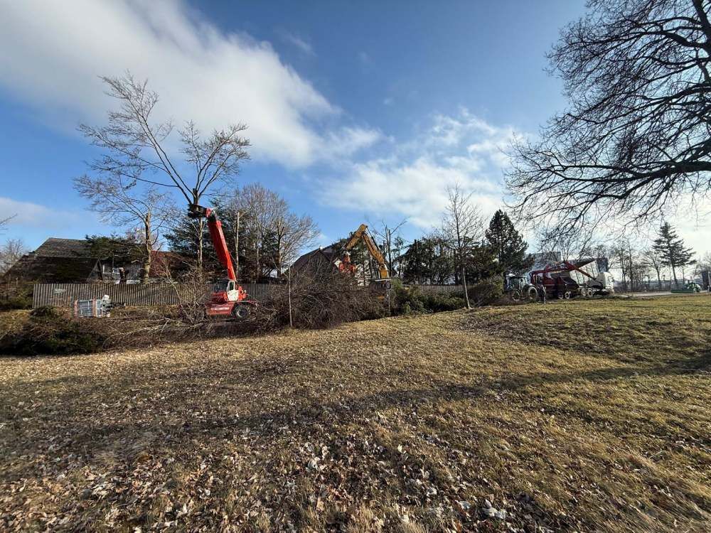 Baumaschinen und Kräne sind im Einsatz, um unter strahlend blauem Himmel Bäume und Gestrüpp auf einem Feld zu roden.