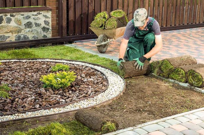 Ein Mann legt Rasenrollen in einen Garten.