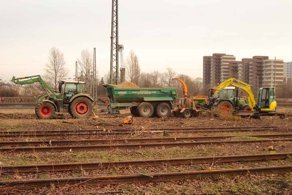 Ein grüner Muldenkipper parkt neben einem gelben Bagger.
