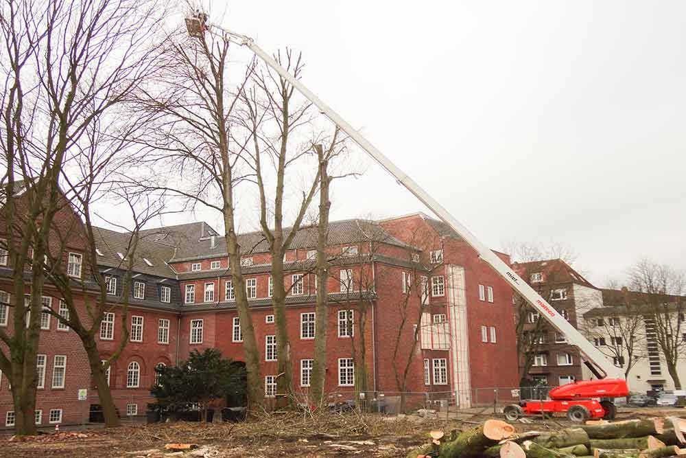 Ein roter Kran fällt Bäume vor einem Backsteingebäude