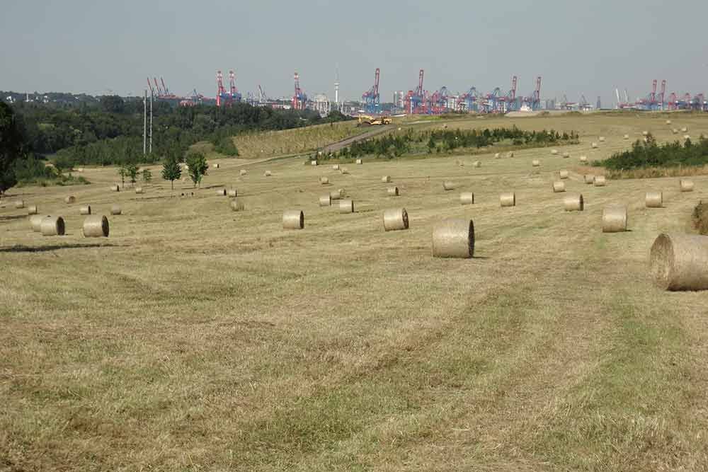Ein mit Heuballen gefülltes Feld mit einer Stadt im Hintergrund.